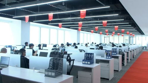 落戶安家，他們共同看上了漢陽的啥——信息技術咨詢服務的前景與機遇